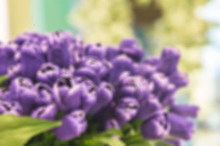 Blur beautiful flowers decorationの写真素材