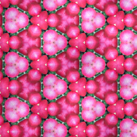 Abstract kaleidoscopic texture or background pattern design made from carunda or karonda fruit