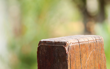 Brown wood with blur green tree backgroundの写真素材