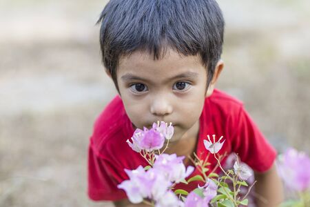 Asian little boy smelling pink bougainvillea flowersの写真素材