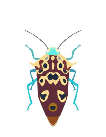 Vector illustration insect isolated on white backgroundのイラスト素材