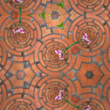 Kaleidoscope Floral Designの写真素材