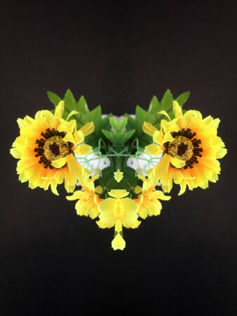 Yellow flower isolated on black backgroundの写真素材