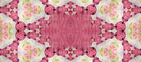Closeup pink roses flowers backgroundの写真素材