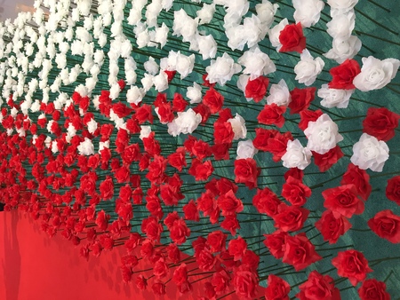 Red and White Flower Backgroundの写真素材