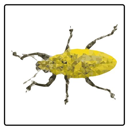 Vector illustration polygon yellow bug on white backgroundのイラスト素材