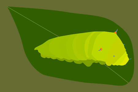 Vector illustration caterpillar on green fresh soursop leafのイラスト素材