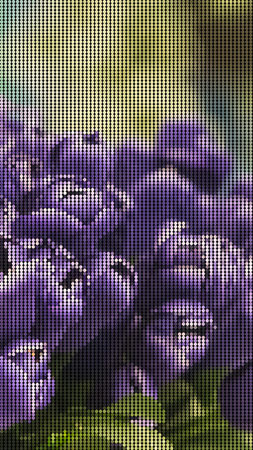 Vector illustration dot pixel beautiful flowers decorationのイラスト素材