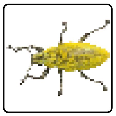 Vector illustration pixel yellow bug on white backgroundのイラスト素材