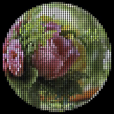 Vector illustration dot pixel rose on black backgroundのイラスト素材