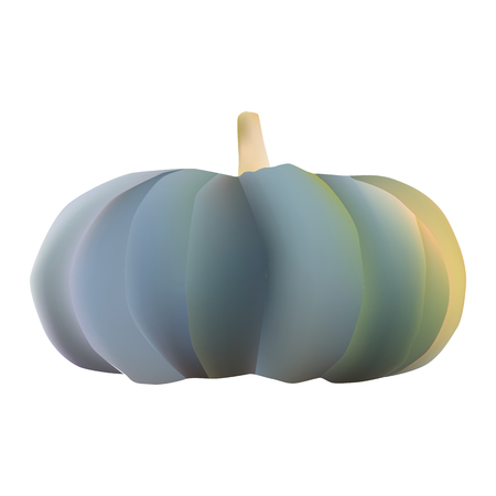 Vector illustration pumpkin isolated on whiteのイラスト素材