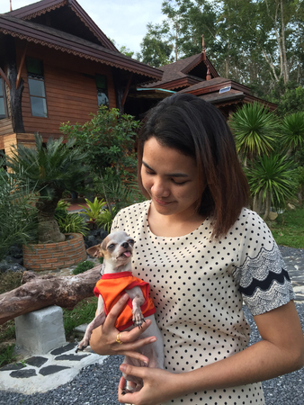 Asian woman holding small chihuahua dog outdoors front wood houseの写真素材