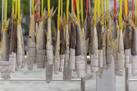 Sun dried salted fish hangs on wire