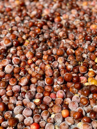 Close up frozen coffee cherry fruitsの写真素材