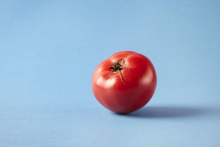 Fresh ripe red tomato on blue background, studio shot, empty space for layout. Healthy vegetarian...
