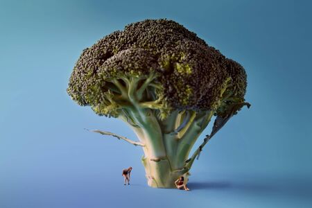 Microworld in women figures under the tree broccoli on blue background. Cartoon style, food...