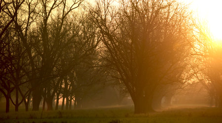 Sunrise in the Southの写真素材