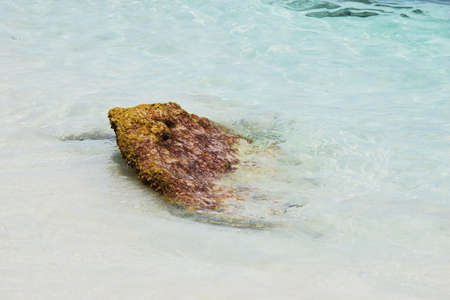 Blue waters of the Caribbeanの写真素材