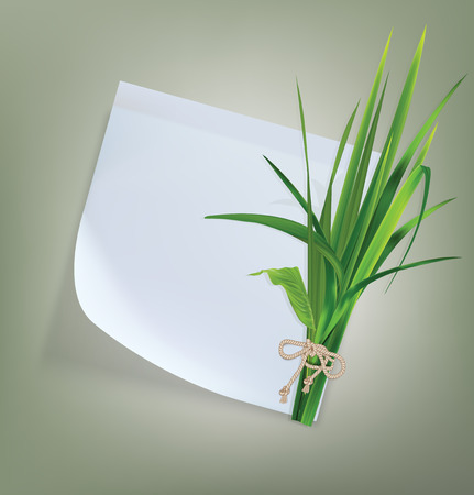 White paper with grass and flowers illustrationのイラスト素材