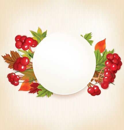 Autumn Banner With Viburnum and Colorful Leaves. Vector illustrationのイラスト素材