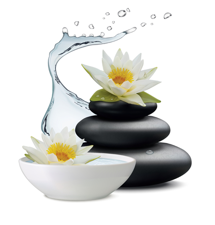 Water lily flowers and zen stone, bowl with water on white background.のイラスト素材