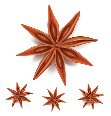 Natural badiyan stars or anise stars condiments with seeds. Vector illustrationのイラスト素材