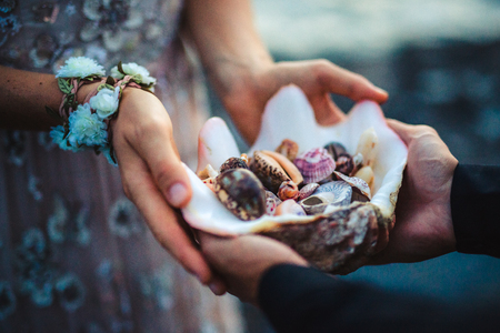 Close up of mans and womans hands holding sea shellsの写真素材