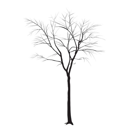 The tree trunk without leaves on a white backgroundのイラスト素材