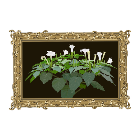 Bronze rectangular frame with the image of the blossoming plant a thornapple (Datura L.), color vector imageのイラスト素材
