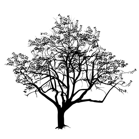 Tree silhouette with the flown leaves in the fall, the black-and-white vector imageのイラスト素材