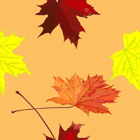 Seamless pattern, drawing of maple leaves, autumn, horizontally vertical, color vector illustration
のイラスト素材