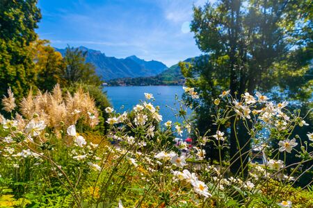 A landscape of lake Como from the garden of Villa Carlotta with flowers and treesの写真素材