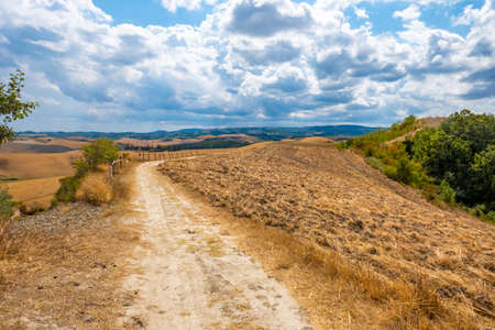 Typical Tuscany landscape along via Francigena path, Italyの写真素材
