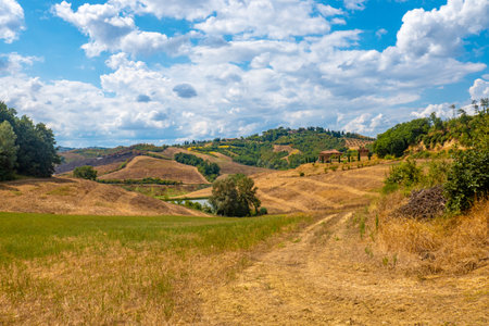 Typical Tuscany landscape along via Francigena path, Italyの写真素材