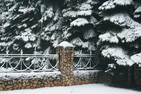 The fenceの写真素材