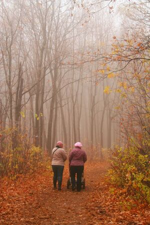 The autumn in park.の写真素材