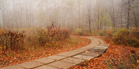 The Autumn roadの写真素材