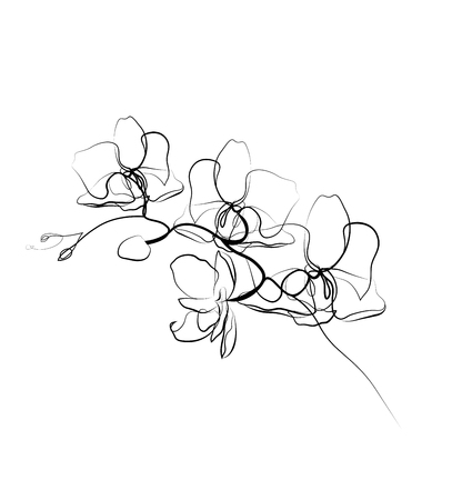 One line drawing orchid sketch.Modern single line art, aesthetic contour. Perfect for home decor such as posters, wall art, tote bag, t-shirt print, stickerのイラスト素材