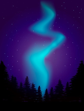 night landscape illustrationのイラスト素材