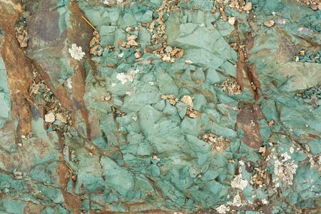 backgroundの写真素材