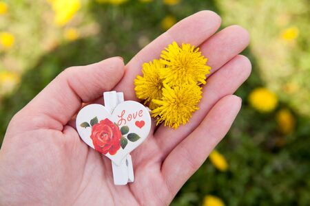 Inspirational image of a young hand holding a yellow dandelionの写真素材