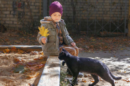 kid and black cat. A cute boy with yellow leaf looks at black catの写真素材
