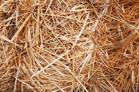 Hay background. Haystacks background, texture. Wheat gold hay in field. Hay prepared for farm animal...