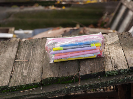 A transparent pencil case with markers lies on a wooden surface