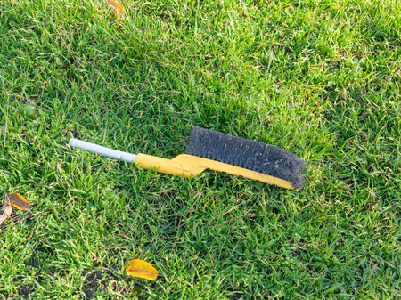 Snow brush on green grass.