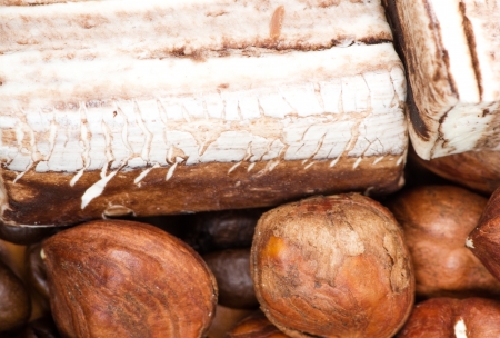 coffee beans, cinnamon and nuts backgroundの写真素材