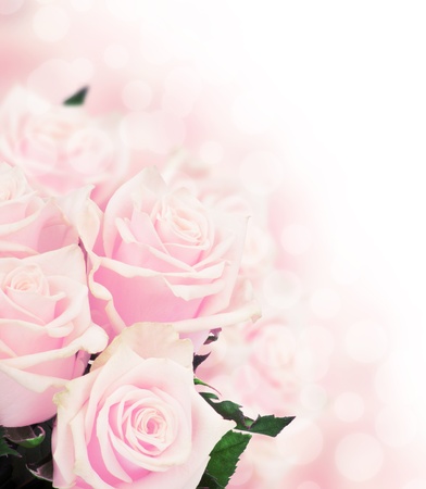 Pink rosesの写真素材