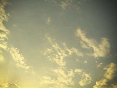 Vintage nature background