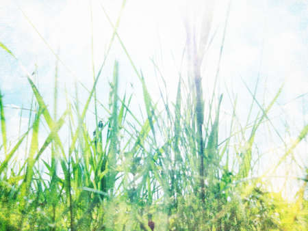 Vintage nature backgroundの写真素材