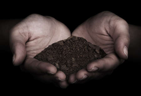 Brown Land and humman hand  on hand の写真素材